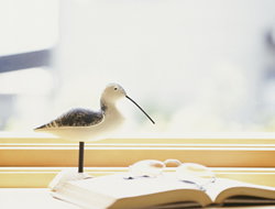 �X���C���[�W